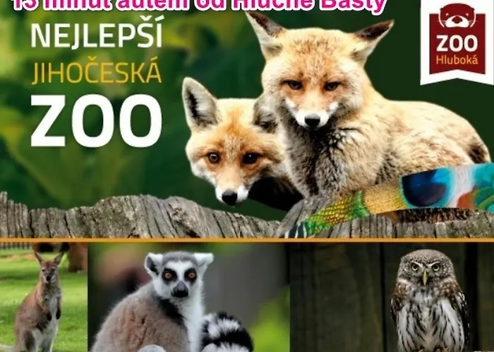 Hlucha Basta S Vnitrnim Bazenem Apartment *